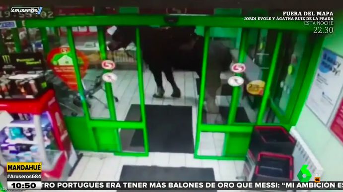 Borracho y a caballo: se metió en un supermercado porque el animal quería pan