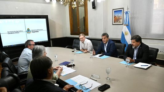 Máximo alerta por la gripe aviar: Sergio Massa anunció una inversión de $1000 millones y barreras sanitarias