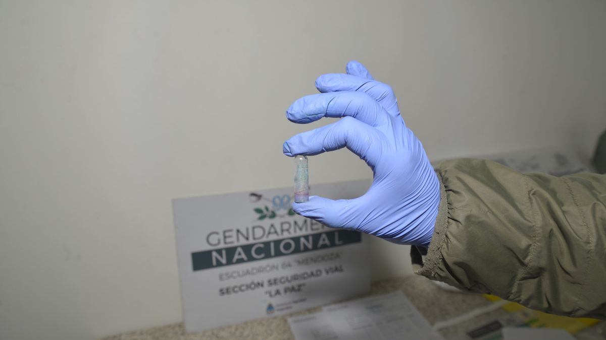 Reactivo que por error dio positivo de coca&iacute;na. (foto: Gendarmer&iacute;a)