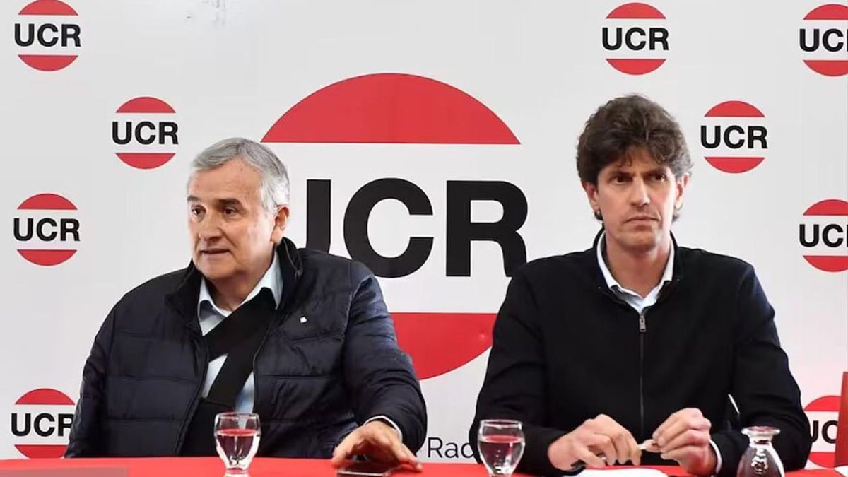 La UCR se desmarcó del PRO y decidió no acompañar ni a Massa ni a Milei en el balotaje.