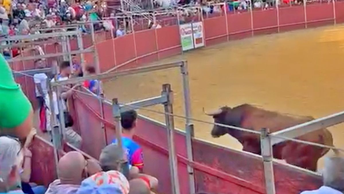 Otra tragedia en una corrida de toros: murió un operario de 55 años
