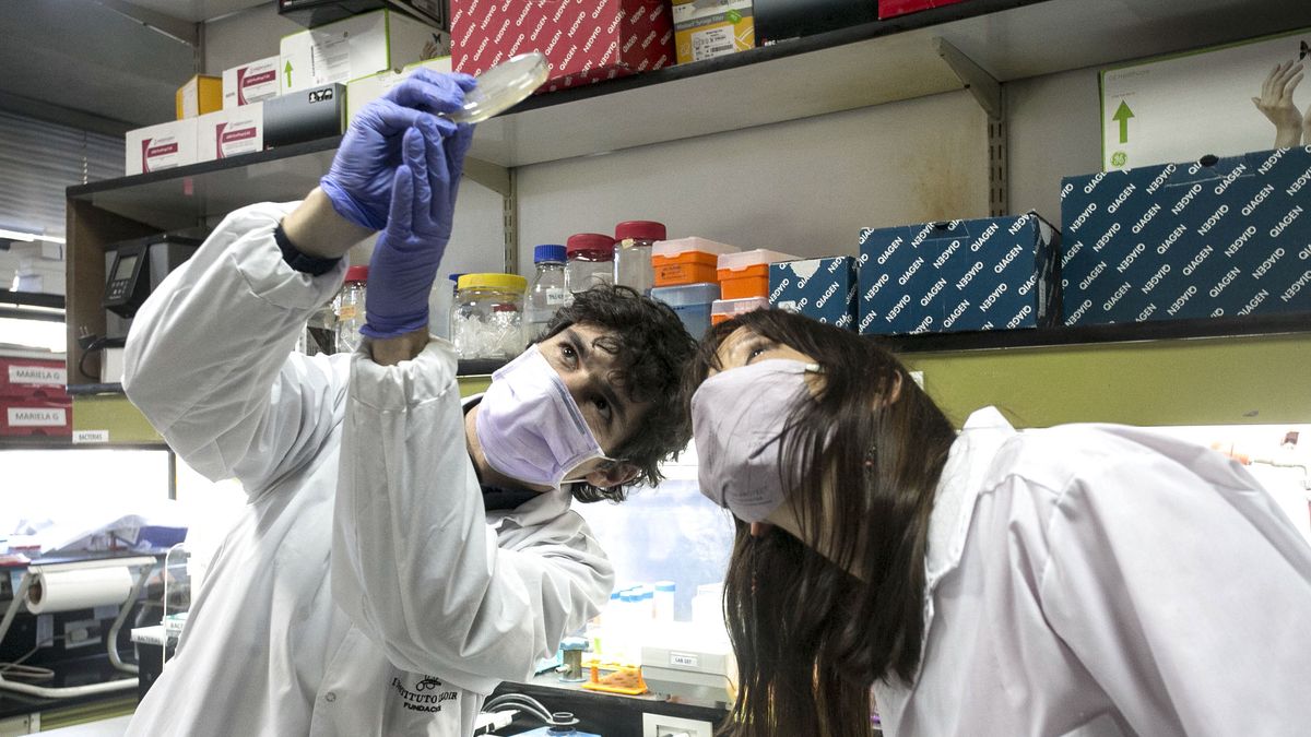 La visión de los infectólogos ante el aumento de casos de coronavirus en Argentina (Foto: Télam)