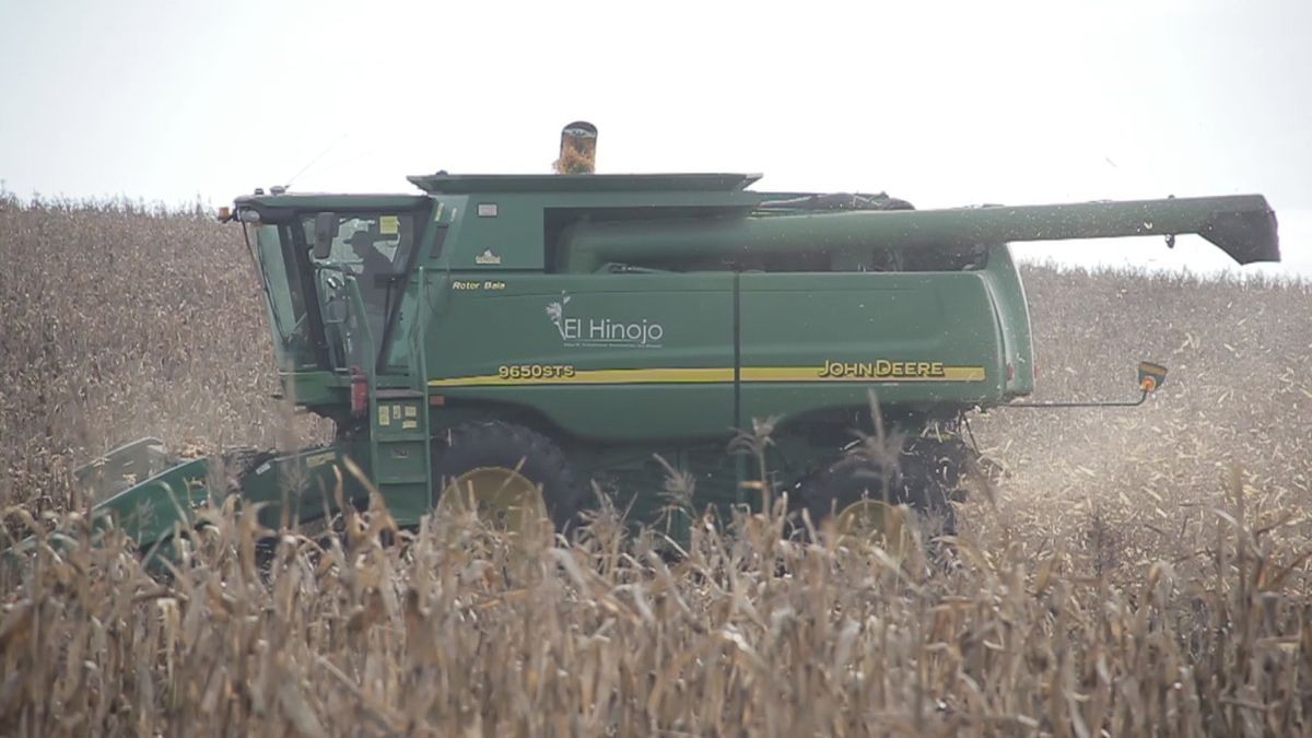 La agricultura también es una parte importante dentro del esquema comercial de los Cerini.