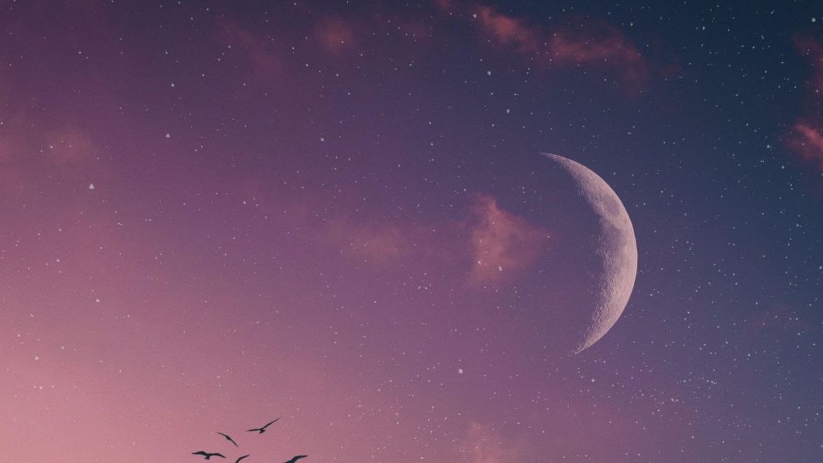 Purifica tu hogar en esta Luna Nueva en Virgo