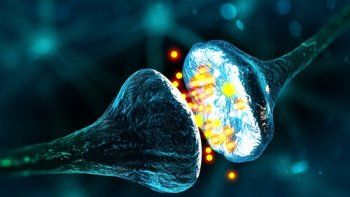 ¿Qué son los neurotransmisores?