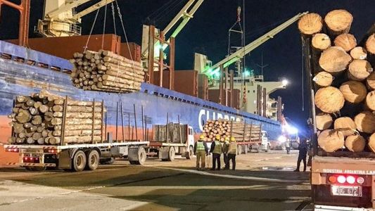 Madera de pino entrerriana tiene como destino la India