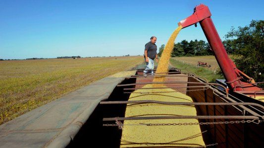 El ingreso de dólares del campo, afectado por la pandemia: cayó 7% en marzo