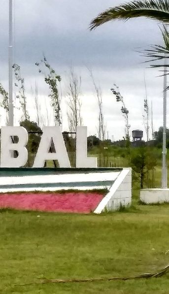 Santa Fe: una joven de 16 años quiso frenar una pelea, recibió un golpe en la cara y murió