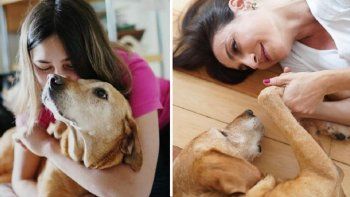 el dolor de eleonora wexler por la muerte de su perra ambar: te fuiste rapido para que no suframos
