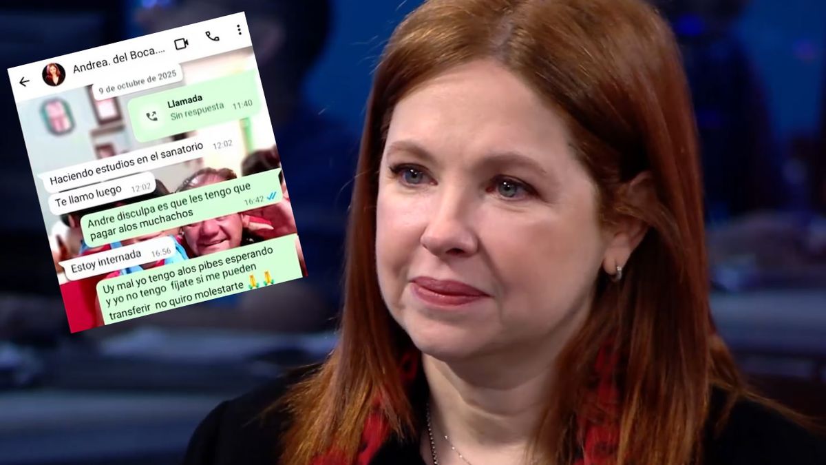 Salieron a la luz polémicos chats y audios que comprometen a Andrea del Boca por una deuda con pintores