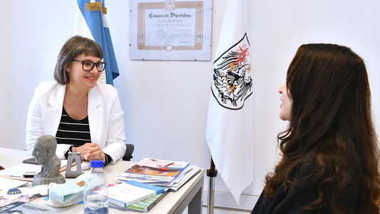 Asesor por un mes: una diputada del Frente de Todos busca en redes sociales a su equipo de trabajo