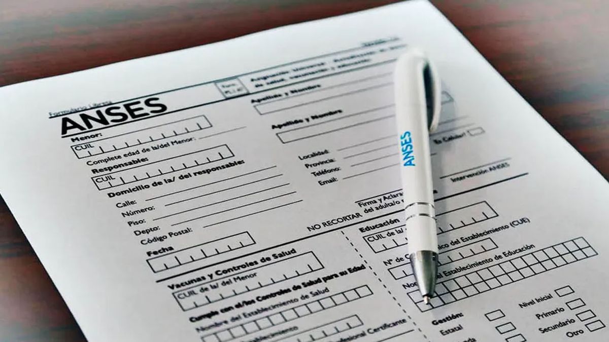 ANSES: bono de $144.000 adopción febrero 2024 ANSES: bono de $144.000 adopción febrero 2024