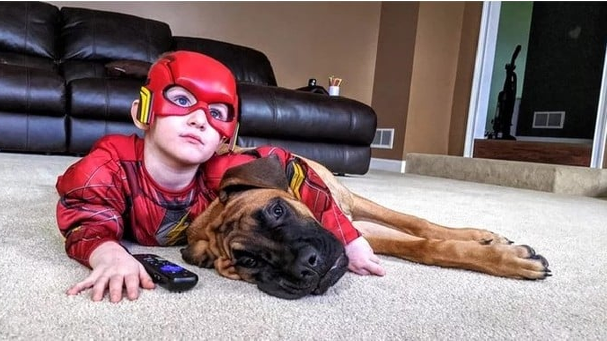Cadenas de amor: ni&ntilde;o y perro comparten castigo con ternura