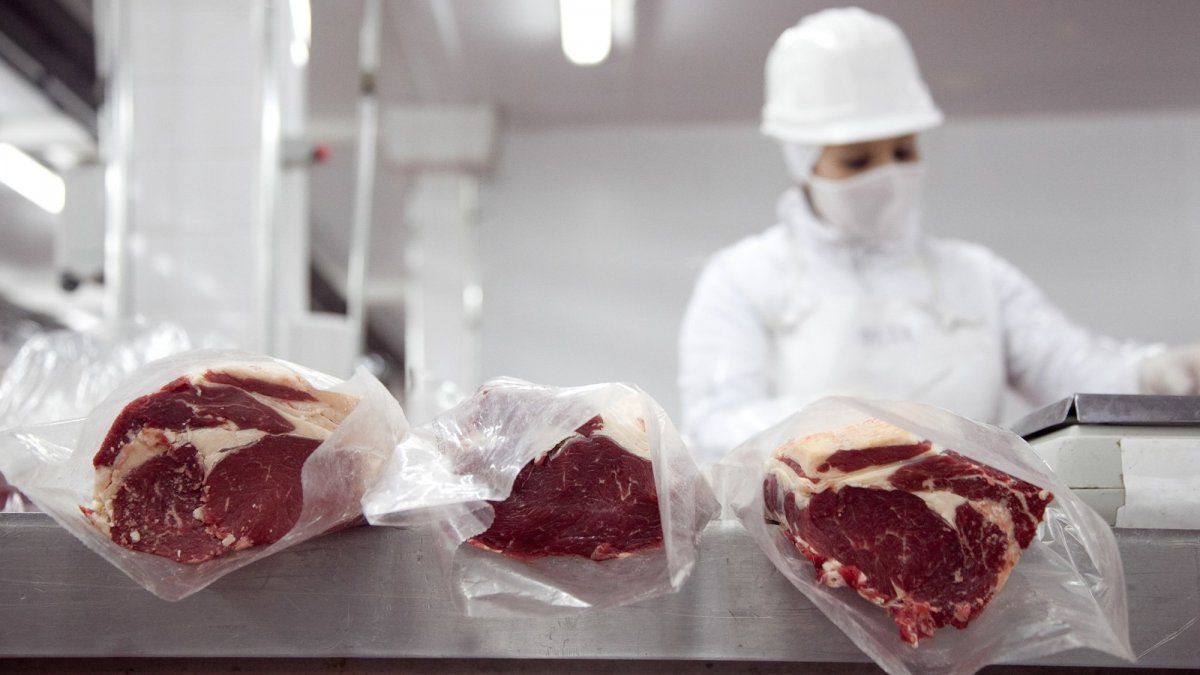 Carne vacuna: la Argentina logra el mayor desempeño exportador en 15 años