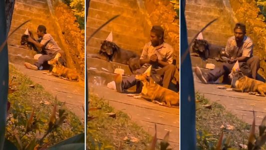 El conmovedor video de un indigente festejándole el cumpleaños a su perro