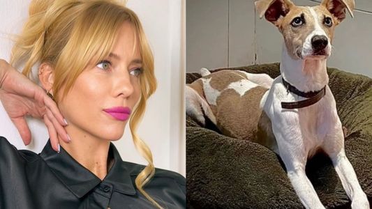 Nicole Neumann opinó sobre la polémica con Arturo en Gran Hermano e hizo un contundente pedido