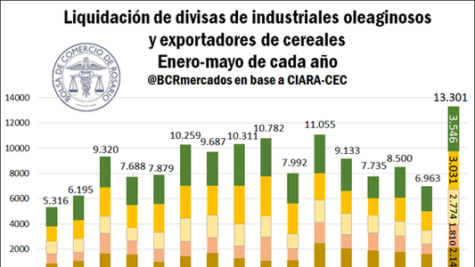 Divisas 2021: cómo se logró en ingreso récord de los primeros cinco meses y lo que se viene