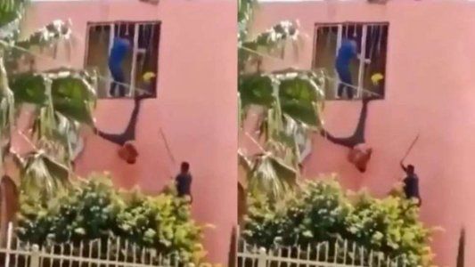 Un ladrón quedó atrapado entre las rejas y la policía lo molió a palos