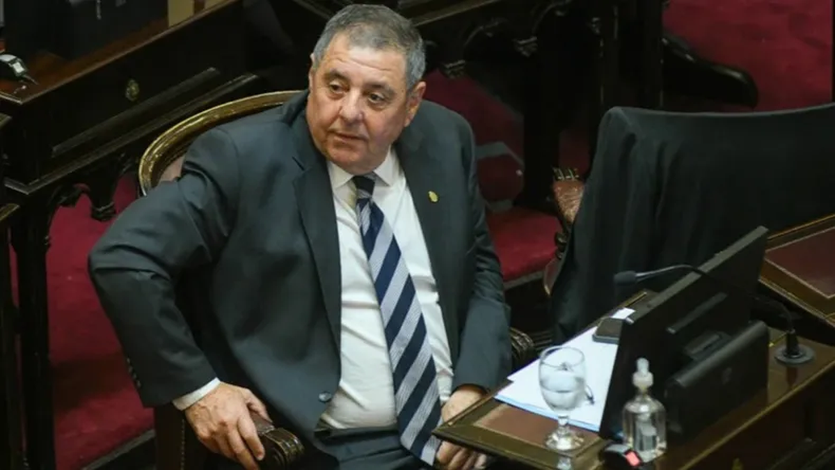 Alfredo de Angelis es el nuevo presidente del PRO en el Senado.