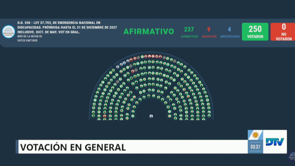 El proyecto de ley de discapacidad consiguió un gran apoyo en Diputados. (Foto: archivo).