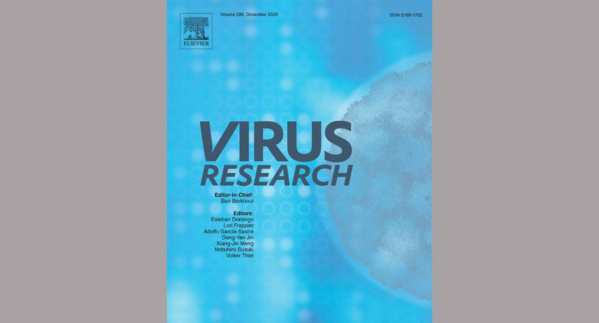 La Revista Virus Research,  alertó sobre la infección con dos variantes del coronavirus (Foto: Virus Research)