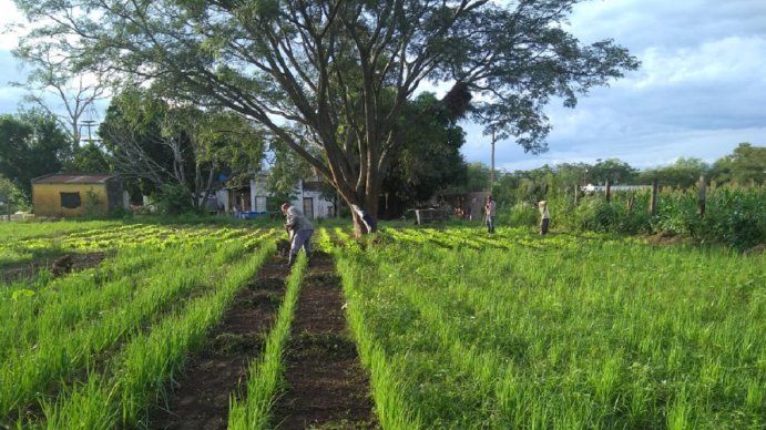 ¿Se viene la otra Mesa de Enlace?