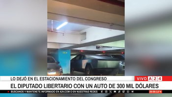 La polémica con el diputado libertario que llegó al Congreso en un Tesla de lujo