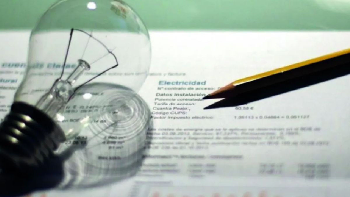 Últimos días de inscripción al RASE para mantener los subsidios: paso a paso