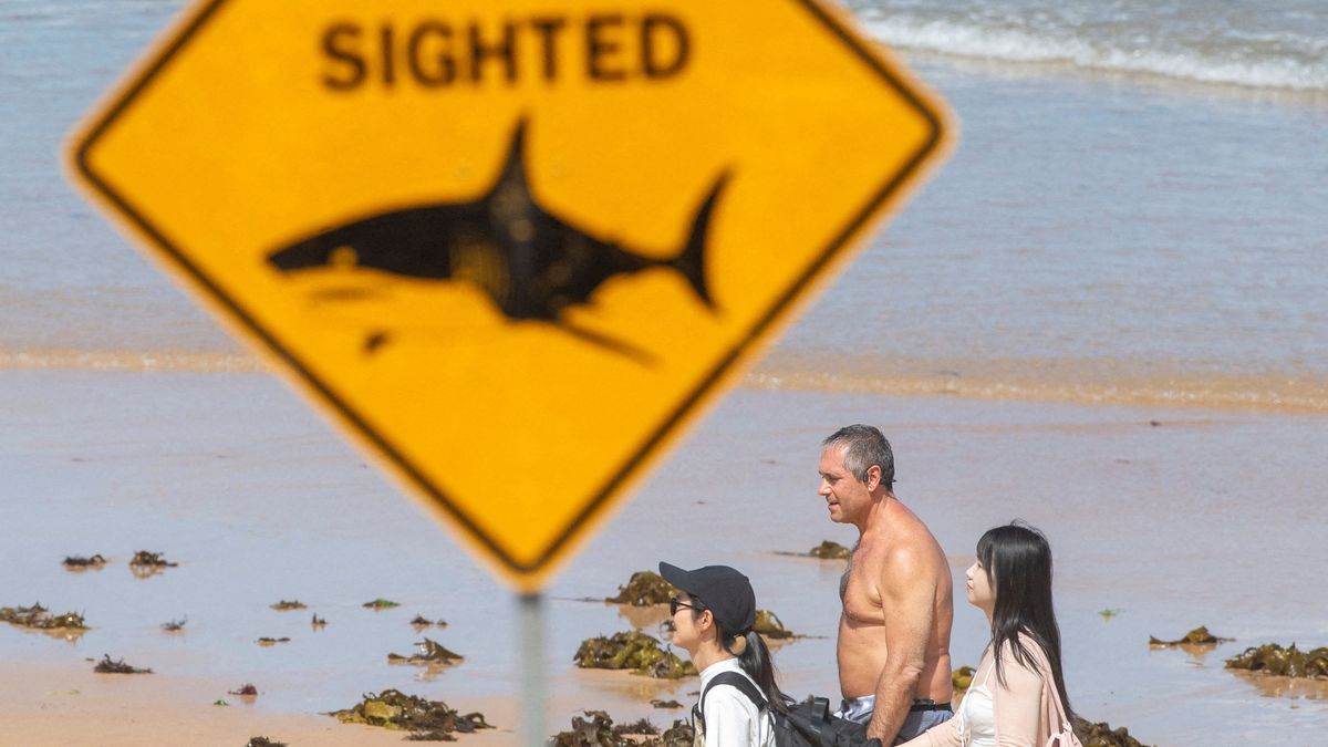 Los carteles que advierten a los turistas son insuficientes. Cerraron el acceso al mar. (foto: Reuters)