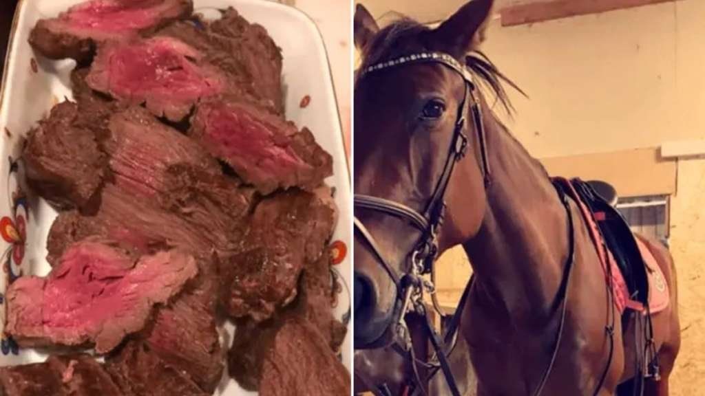 Se comió a su caballo y ahora recibe amenazas de muerte