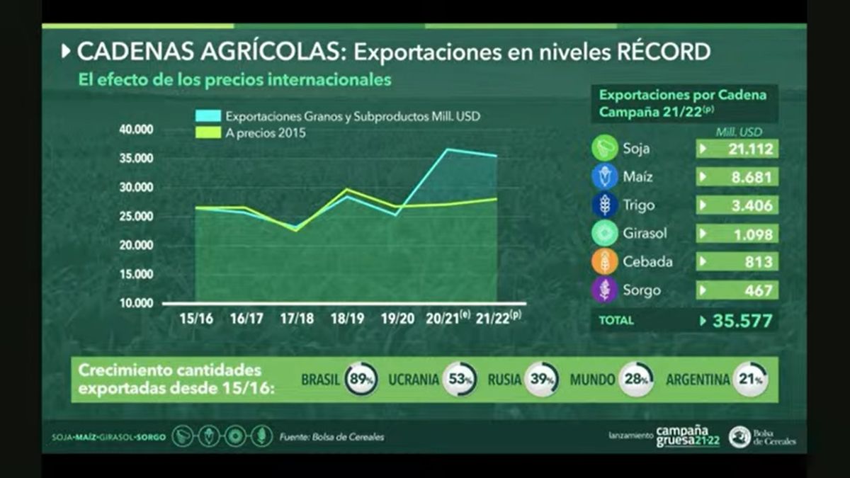 Brasil, Ucrania y Rusia, los países que más crecieron en término de exportaciones y generación de dólares del agro.