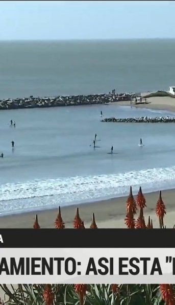 Así estaba Mar del Plata a pesar de las restricciones