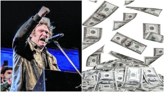 ¿Dolarizar sí o no?: causas, consecuencias y una falla detrás de la medida económica que quiere aplicar Javier Milei