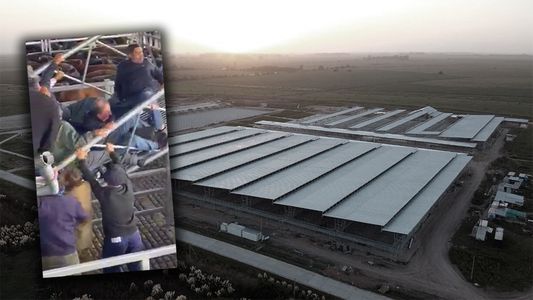 Prueba fallida: cedió una pasarela en el nuevo Mercado agroganadero de Cañuelas y hay 7 lesionados