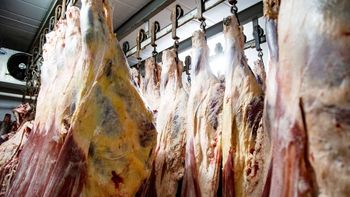 La Justicia allanó frigoríficos de Berazategui tras las muertes por consumo de carne y achuras en mal estado