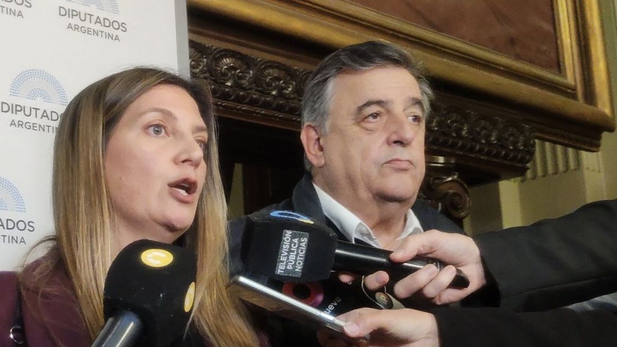Presupuesto 2023: Juntos por el Cambió pidió la visita de Miguel Pesce y de empresas estatales deficitarias. (Twitter @marioraulnegri)