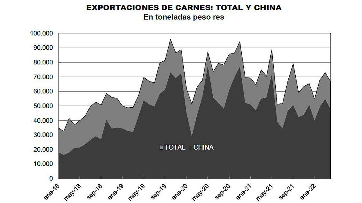 Las exportaciones de carne a China representan un altísimo porcentaje de los embarques. 