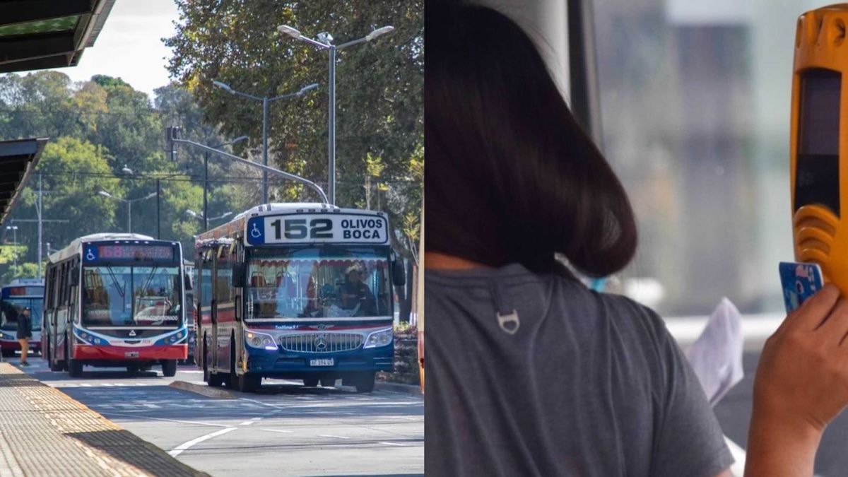 Quiénes podrían usar el transporte público sin ningún tipo de costo (Foto: A24.com).