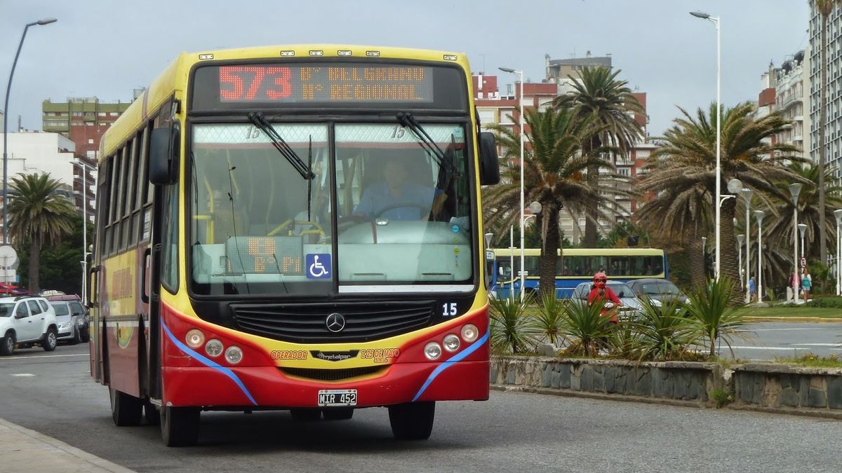 Un pasajero tenía frío y golpeó al colectivero porque no cerró la puerta (Foto: Ciudad de Bondis).