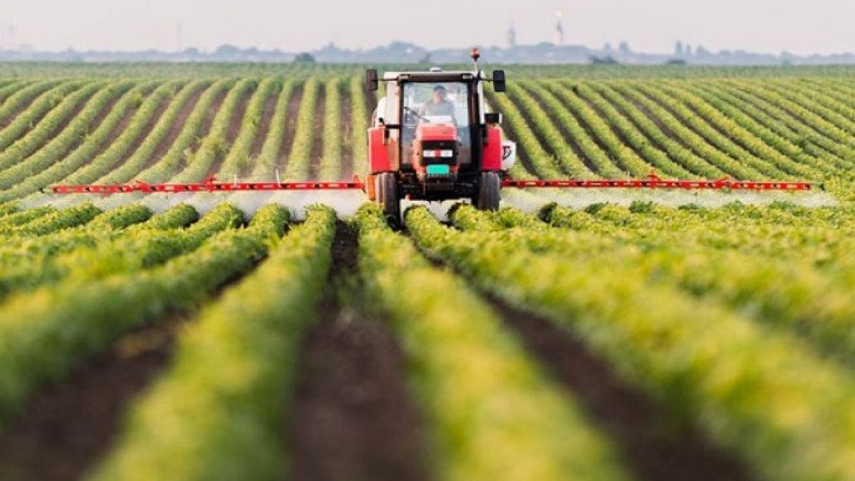 El autor brinda consejos a partir de su experiencia como emprendedor rural. (Foto: Shutterstock)