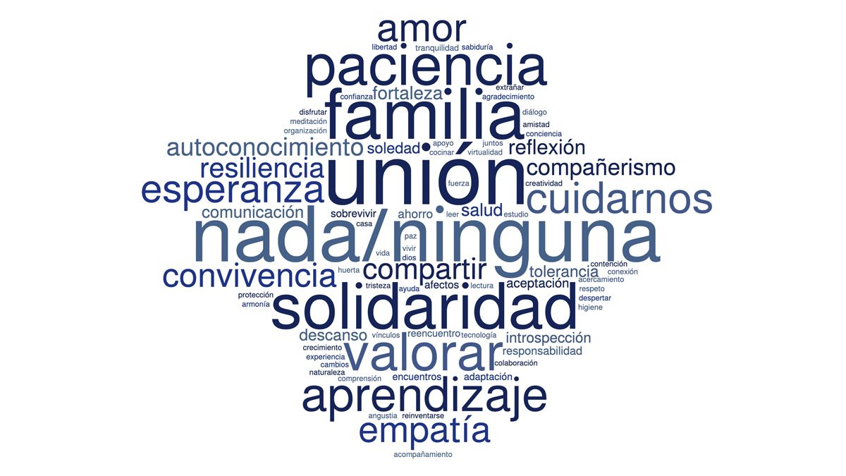 Covid-19: Para los argentinos, el 2020 con confinamiento y pandemia no dejó 