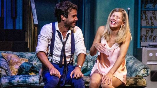 Por qué se suspendieron a último momento las funciones de Departamento de soltero