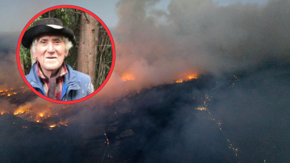 Perdón por la tibieza: la desgarradora despedida a Don Reyes