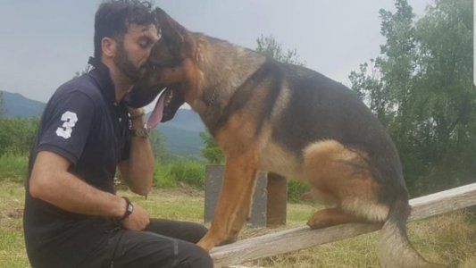 Kaos, el perro héroe de Italia, murió envenenado