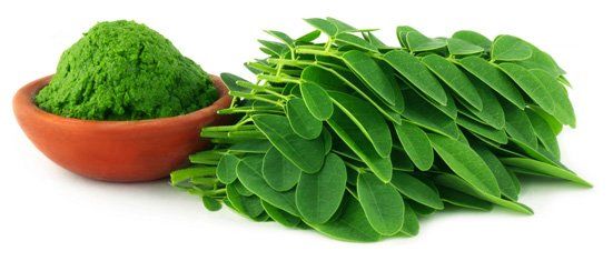 ¿Cómo consumir la moringa?