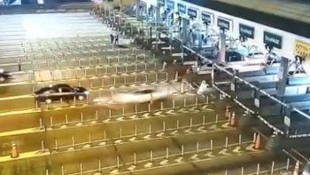 La imagen del Fiat Cronos, poco antes de impactar contra una de las cabinas de peaje (Foto: captura de pantalla). La imagen del Fiat Cronos, poco antes de impactar contra una de las cabinas de peaje (Foto: captura de pantalla).