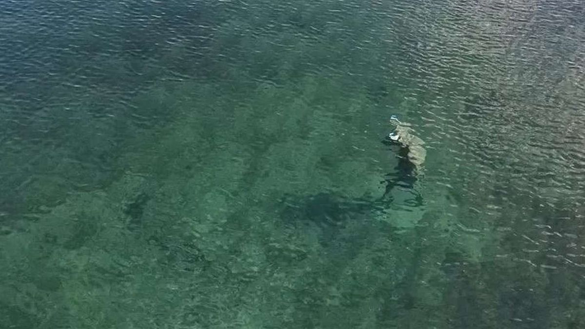 Encontraron la estatua de un minotauro sumergida en un lago de Neuquén