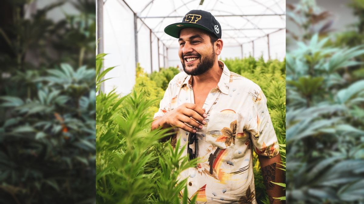 Anuar Peche en el Cultivo industrial de cannabis en San Juan (Foto: Matca Films).