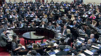 Gritos en plena sesión de Diputados donde se trata la Ley Ómnibus: Dale un Rivotril que está sacada
