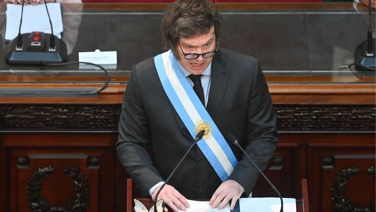 Ley Bases: qué son las facultades delegadas que se aprobaron en el debate de Diputados. (Foto: archivo)